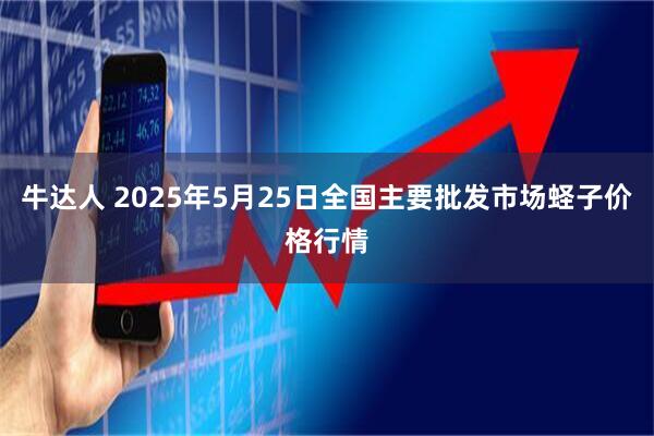 牛达人 2025年5月25日全国主要批发市场蛏子价格行情