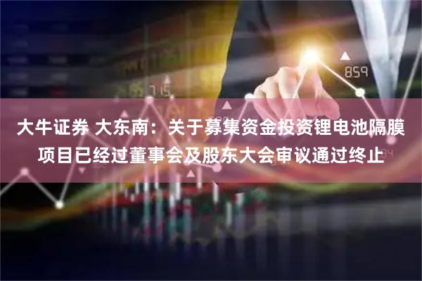 大牛证券 大东南：关于募集资金投资锂电池隔膜项目已经过董事会及股东大会审议通过终止