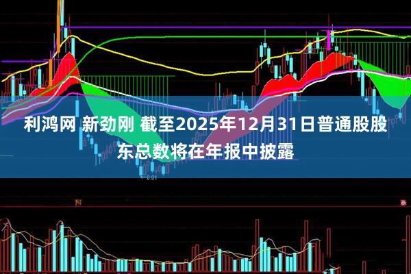 利鸿网 新劲刚 截至2025年12月31日普通股股东总数将在年报中披露